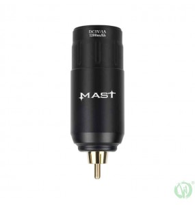 Mast Battery Power Supply P113