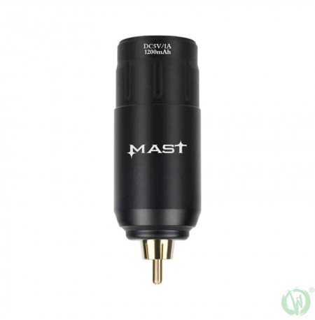 Mast Battery Power Supply P113