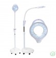 Freestanding LED light