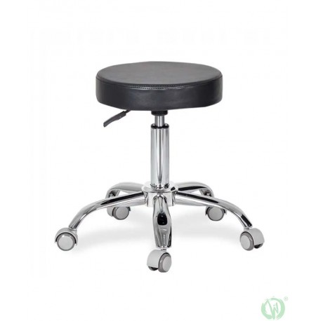 Professional Tattoo Stool