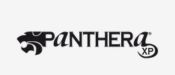 Panthera Ink Panthera Ink