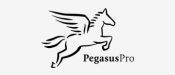Pegasus Pro Pegasus Pro